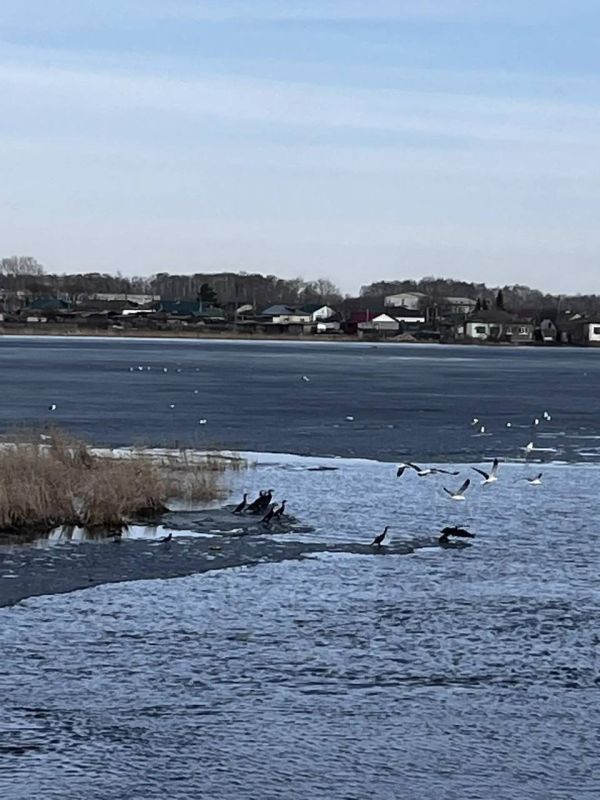 � ����������� ������ ������� �� 30 ��� �������� ��������