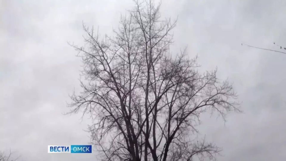 � ����� �������� ��������� �������������� ��-�� ���������� �����