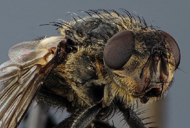 ��� ���������� � ����������� �������: ������ ���������