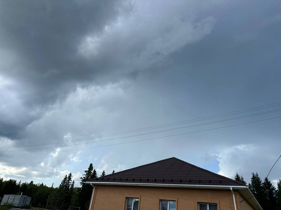 ������ ���� ������: � ���� ���� �����