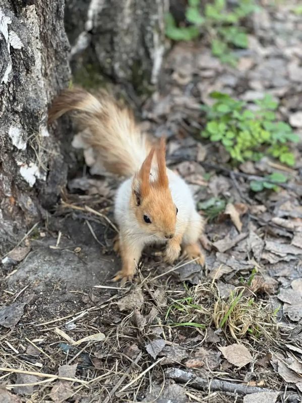 ������ ����, �����!. � ������� ��� ����� ����� ����� � ����� ��� ���� ������ � ��������� ���