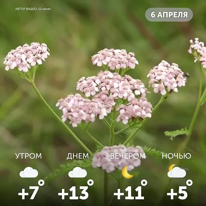 ������ ����, �����!. ������, ����� ����������� �� �������, � ����� ������ ��� � ������� ����� � �������