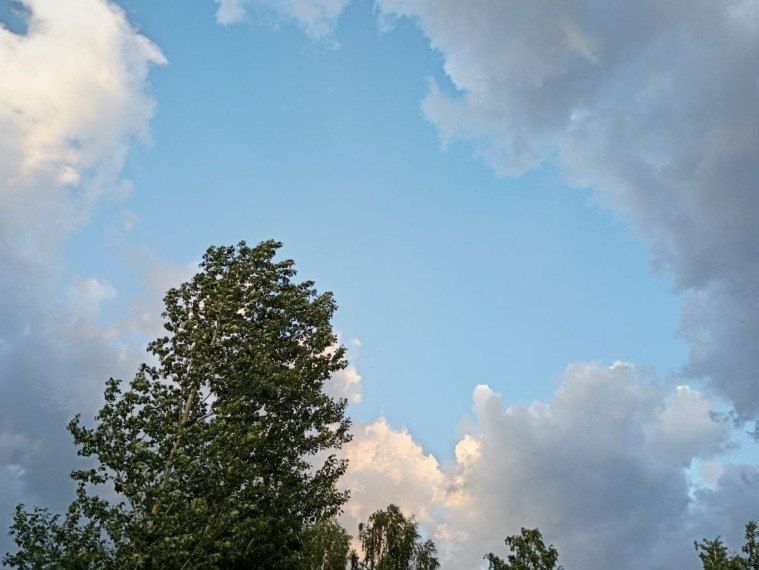 ��������� ������������ ��������� ����� � �������� �����