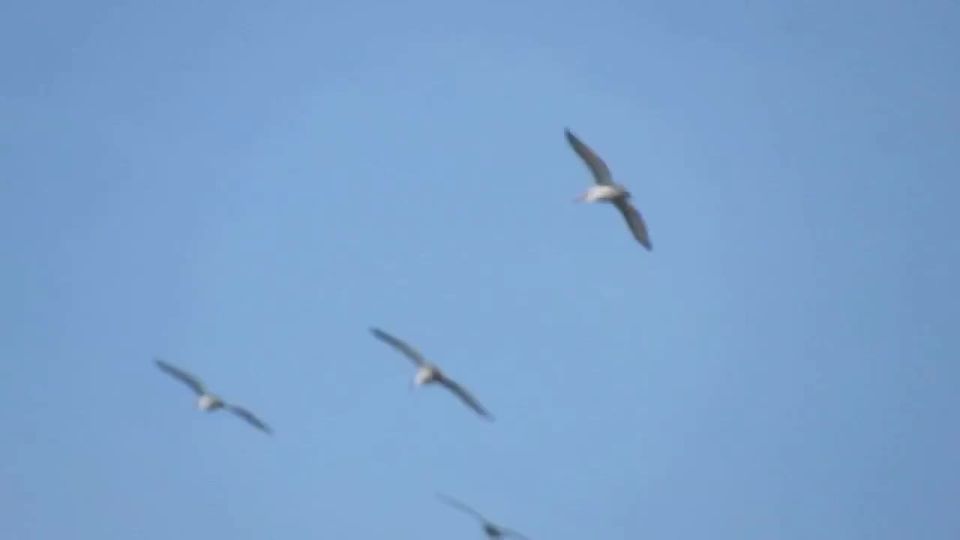 �������� �������� ��������� � ������ ������� ����� �������