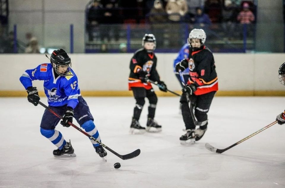 � ������ ������� ���������� ����������� ���������� ������� ������