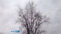В Омске объявили штормовое предупреждение из-за ураганного ветра