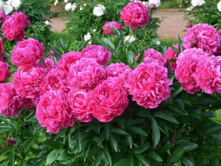 � ������� ���������� ����� ����� ������� ������ ������