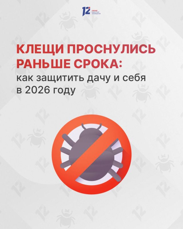 ����� ���������� ������ �����: ��� �������� ���� � ���� � 2026 ����