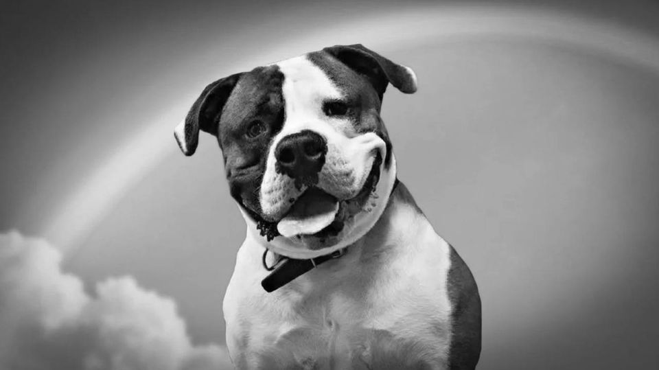 � ������ ������ ���� ��������� ����: ��� ��� � �� �������� ������ ����� �������������