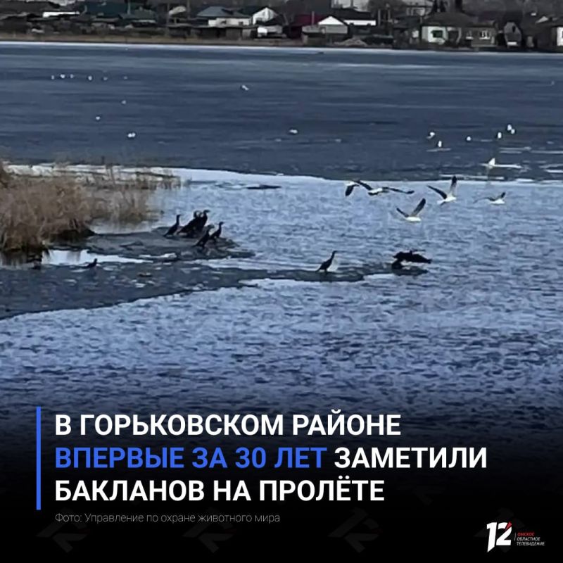 � ����������� ������ ������� �� 30 ��� �������� �������� �� ������