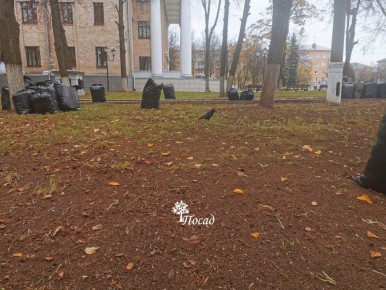 Зачем убирать листву: мифы и реальность осеннего ухода за садом