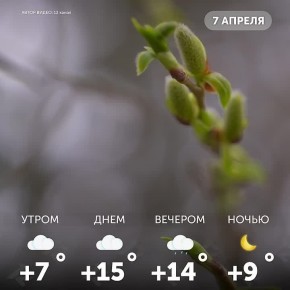 Доброе утро, омичи!. Желаем внутреннего спокойствия, ясной головы и умения радоваться даже маленьким вещам