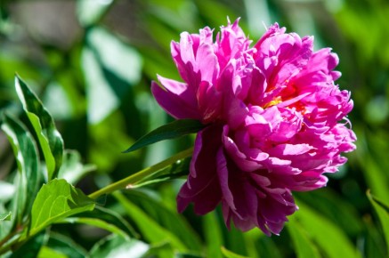 ����� � ��� ������ ����� � ������� ������ ������