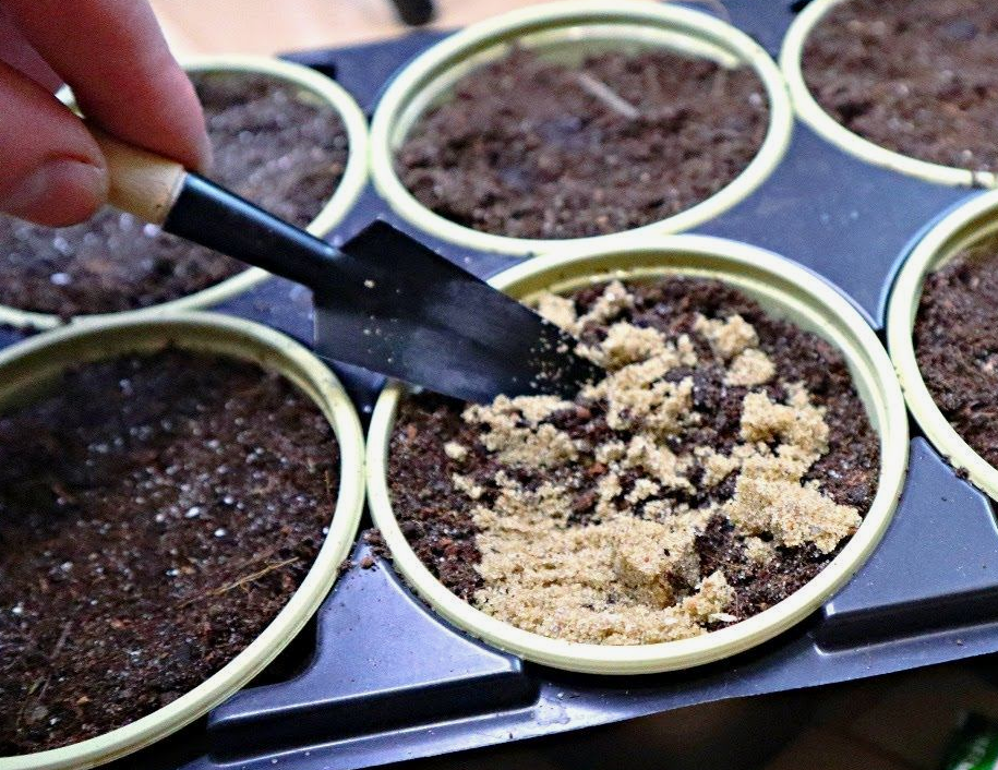 Как создать идеальную почву для рассады: советы от опытных садоводов