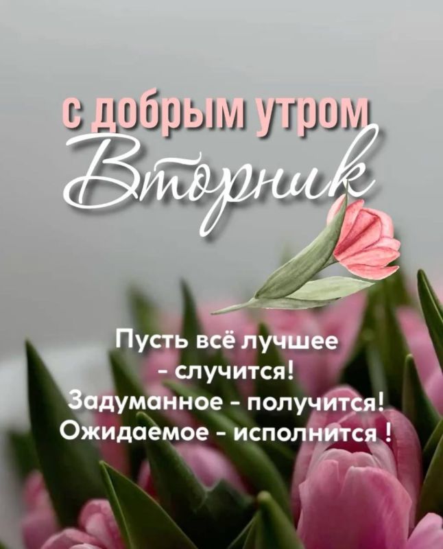 ������ ����!. �������, 7 ������, � ��������� ����� ������ ������ ��� � �������� ����� ��������� ����������