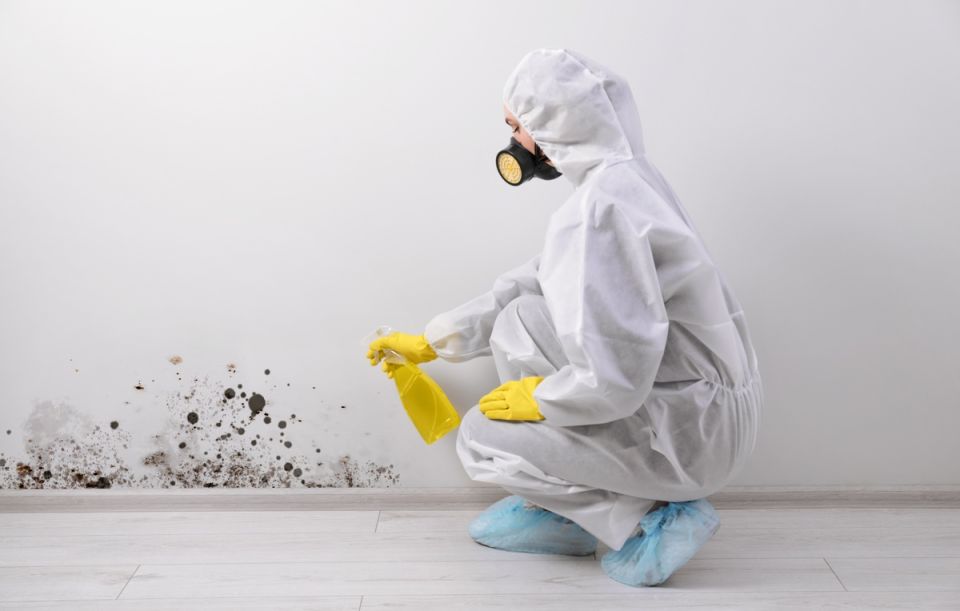 ������� ������ �������: ��� ������������� �� ���������������