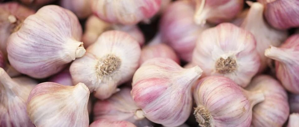 ���������� ������: ������� ����������� ������� ������� �������