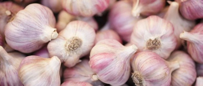 ���������� ������: ������� ����������� ������� ������� �������