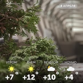 ������ ����, �����!. ������ ������ � ���������� ������ ���, ����� �� ���, ��� ��������!