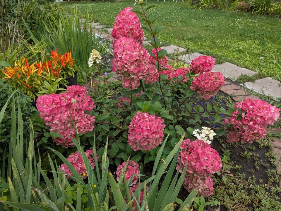 �������� ������� ������: ��� ������������� � ���� ��� ������ ������