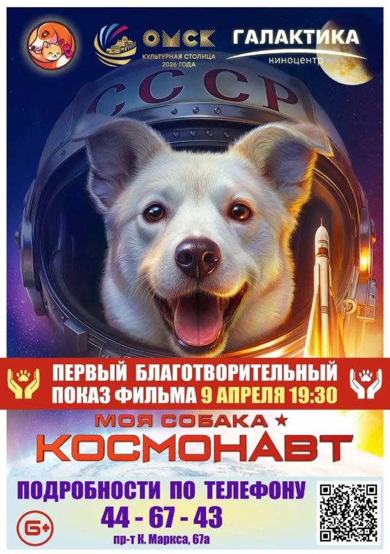 ������ ������: ������, ����������, ����������, ����������