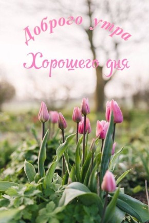 ������ ����!. ������� 9 ������ � ��������� ��������� ������� ��� ����������