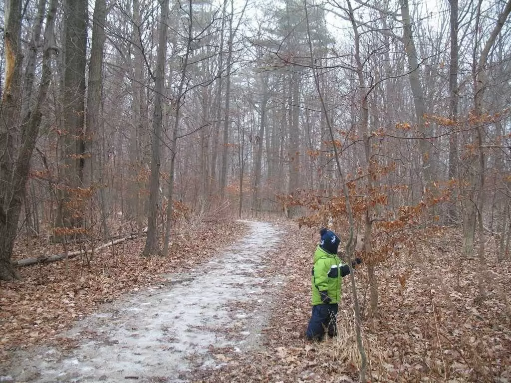Польза безделья: как затишье в жизни способствует развитию