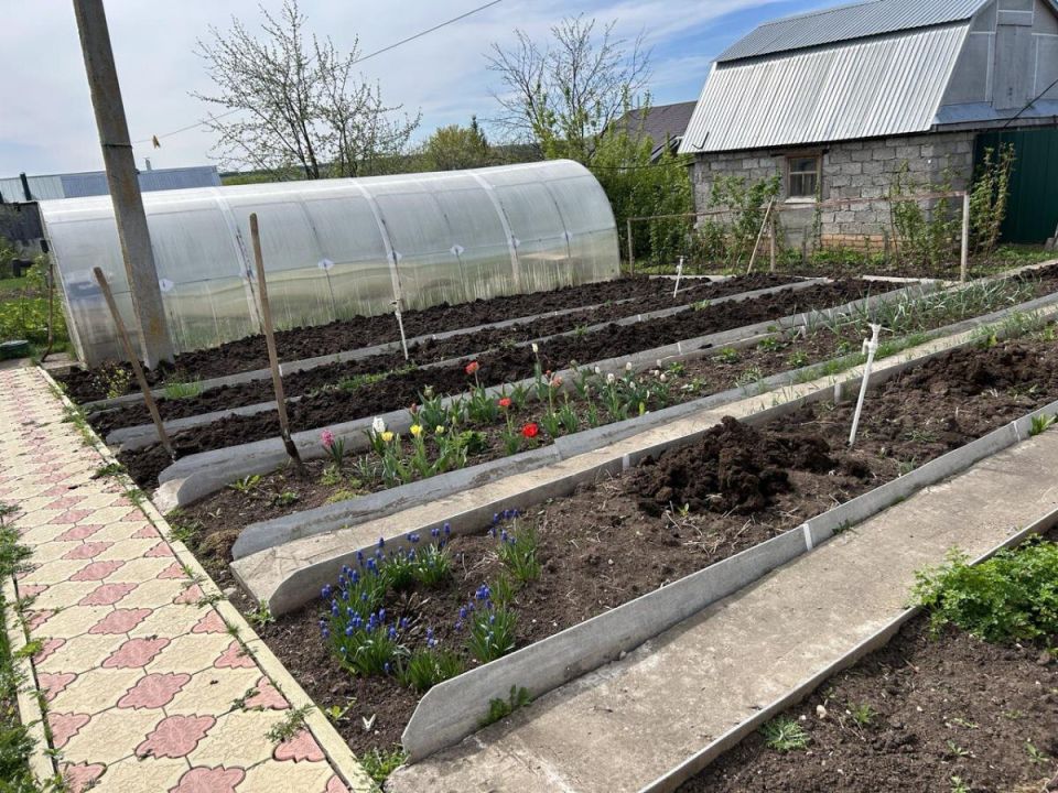 ���� �� ������: ��� ������� ����� ������ � ����