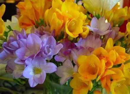 ������: ��� ��������� ������� ������ � ����� ���� � ������� ��������� ��������