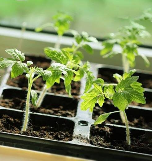 ���������������� �����: ����� ����� � �������� ������