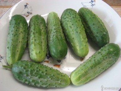 ������ ��������� ��������: �������������� ����� ��� ������ �������