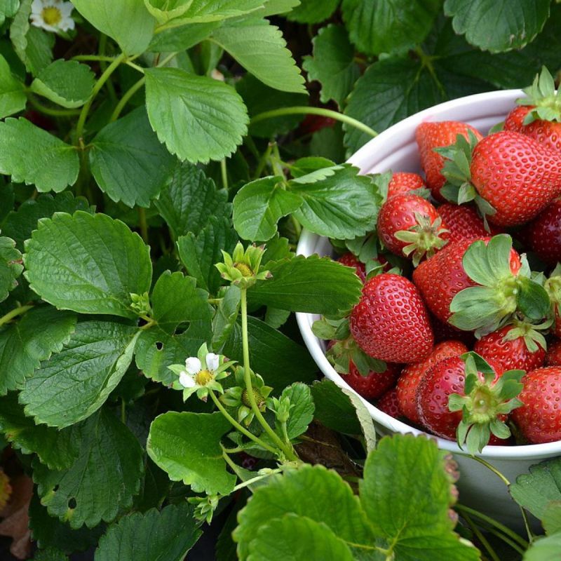 ������ �������� �� ������ � ��� ��� ���������