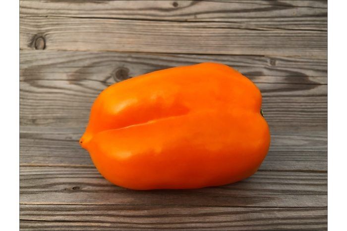 ����� �����: ������ ������ � �����������-���������� ������� ��� �������