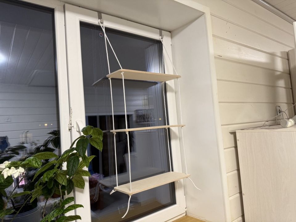 ������� ��������� ����������: ����� �������� � ���������� ��� ����