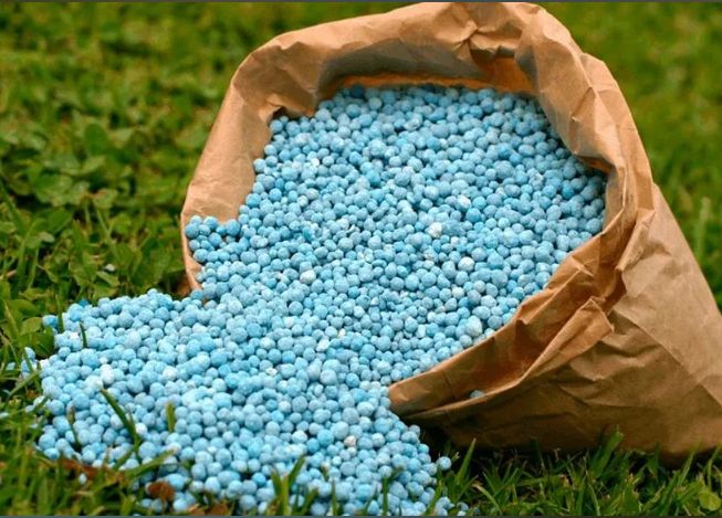 ��� ���������� ��������� ����� ��������� ������ �������: ����������� �������� ������