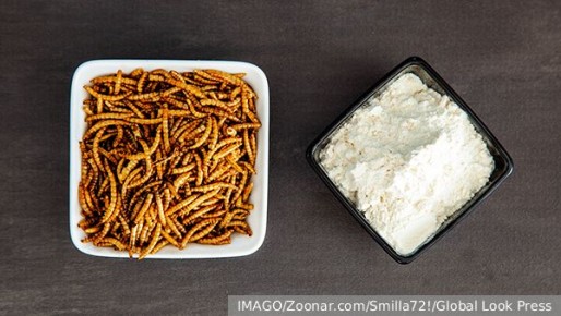 ��������� �� �����: ����� ����� � ����������� �����������