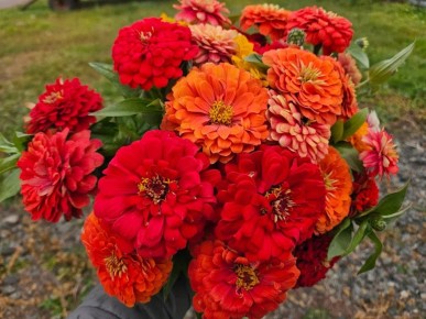 ��� ������� �������� ��������� ������: 9 ��������� ������ ��� ������������ �������