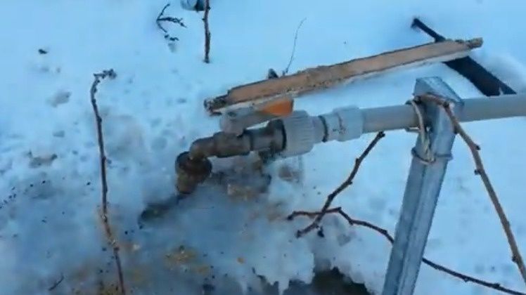 ������ ����������� �� ����������: ������ ��������