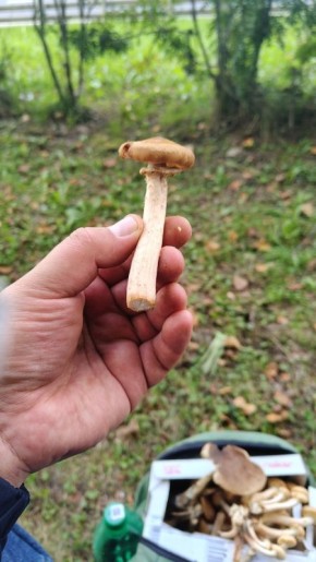 ������� �����: ����� �� �������� ������������ � �����������