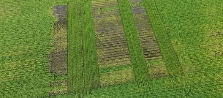 ��� ����������� ������������ ������ ������ � �������� ������� ��������� ����