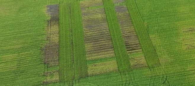 ��� ����������� ������������ ������ ������ � �������� ������� ��������� ����