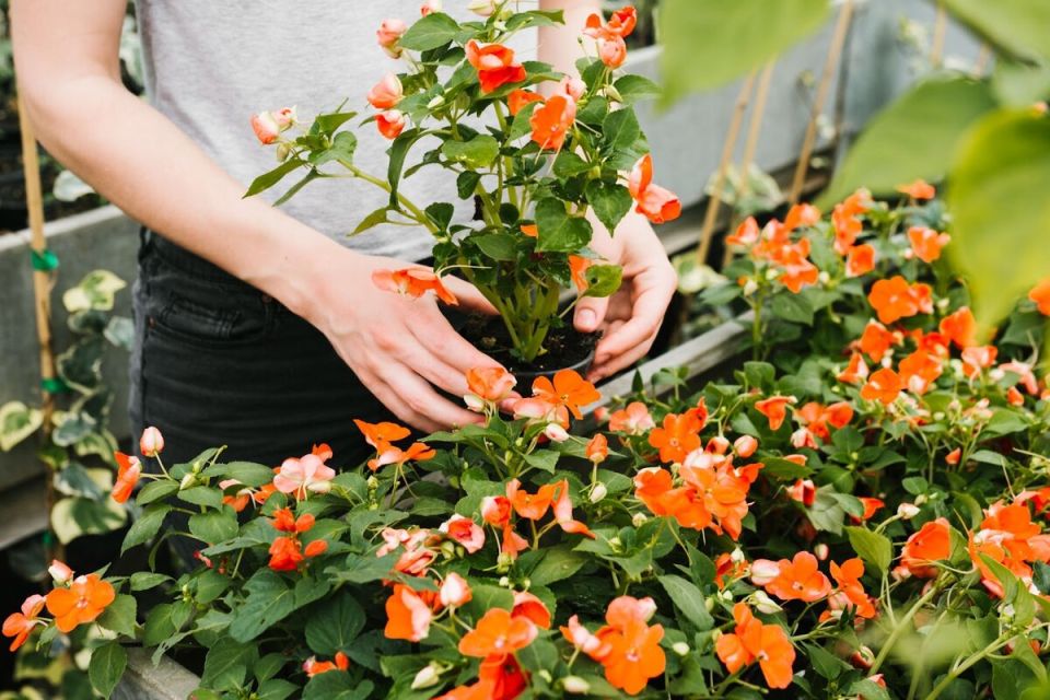 ������� ������: ��� ��������� ���������� ����� � ��������