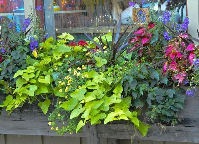 ��� ��������� ��������� �������� �� ����� �������: ������� � ����������� ������