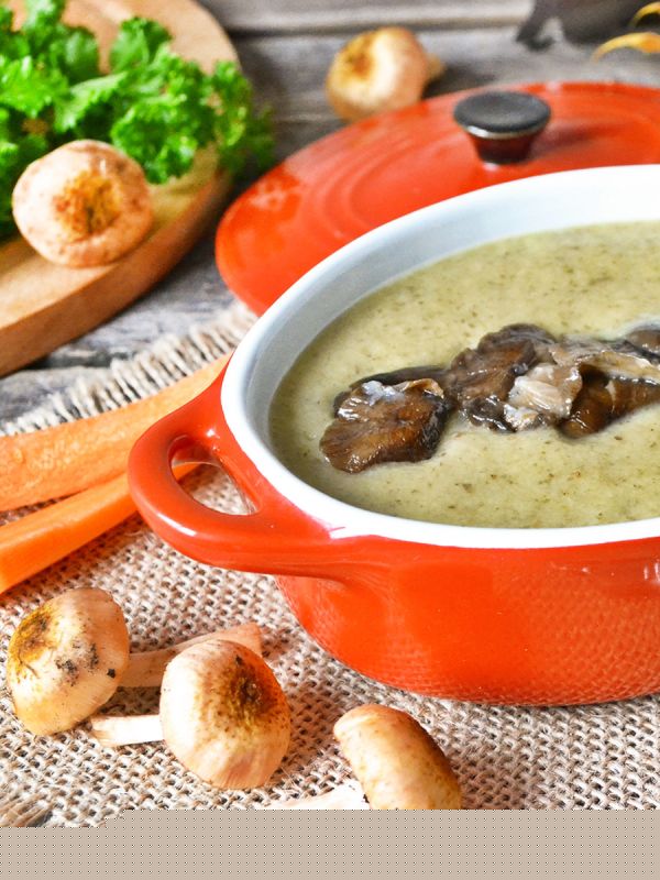 ����� ���� �������� �������