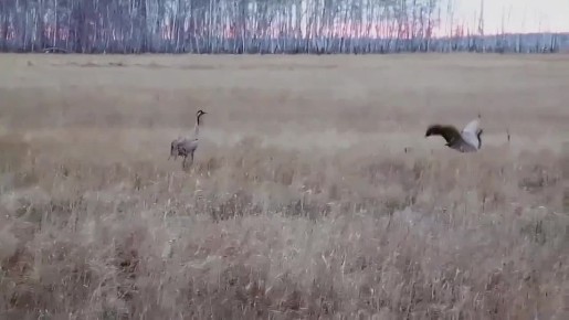 � ������ ������� ������� ��������� �����