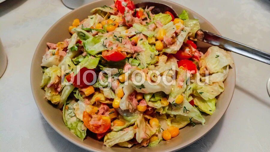 �������� � �������� �� ����� �����: ������� ����� � ������ � ���������