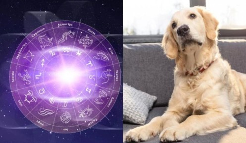 ���������� �� �������: ����� ������ �������� ��� ���� �������