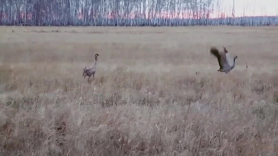 ����� � ����� �������! �������������� ����� �������� � ������������ ������ ���������� ��������� ���������� �� ������ ��������� ����