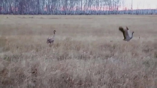 ����� � ����� �������! �������������� ����� �������� � ������������ ������ ���������� ��������� ���������� �� ������ ��������� ����