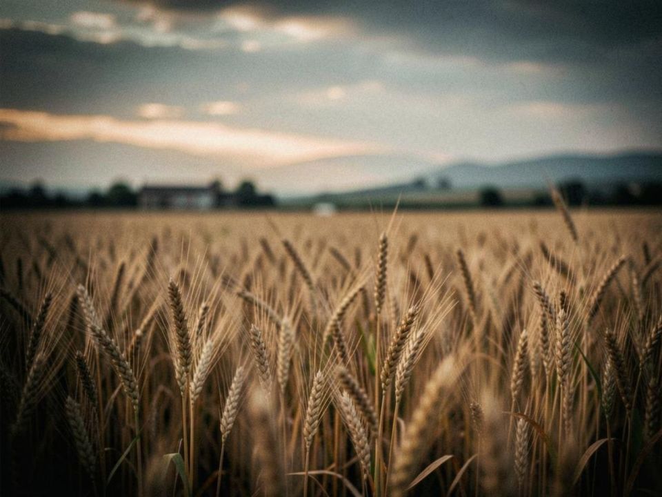 � ������� ��������� ������� �������������� ������ �������������� ��� ���������� ���, ����������� ������� ��� ������� ����������� ���� � �������� ���������